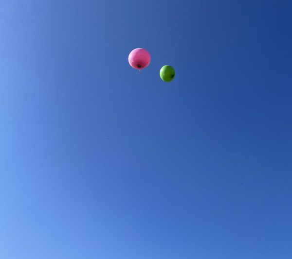 6-768x1024-ballonbestattung